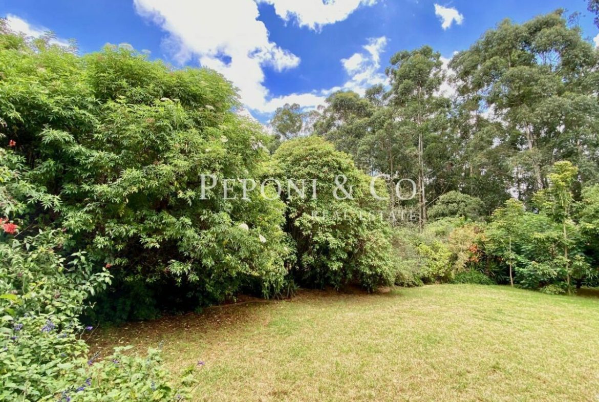 Great Value Home for Sale