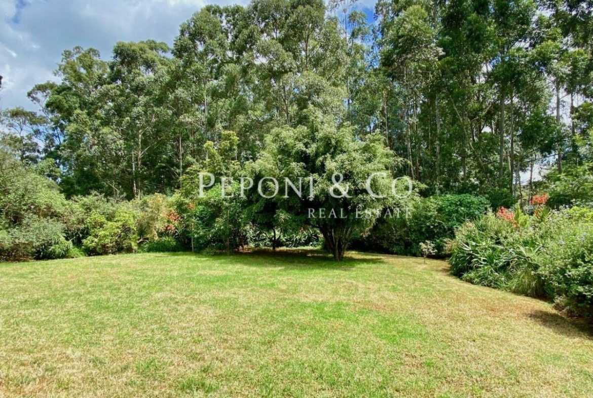 Great Value Home for Sale