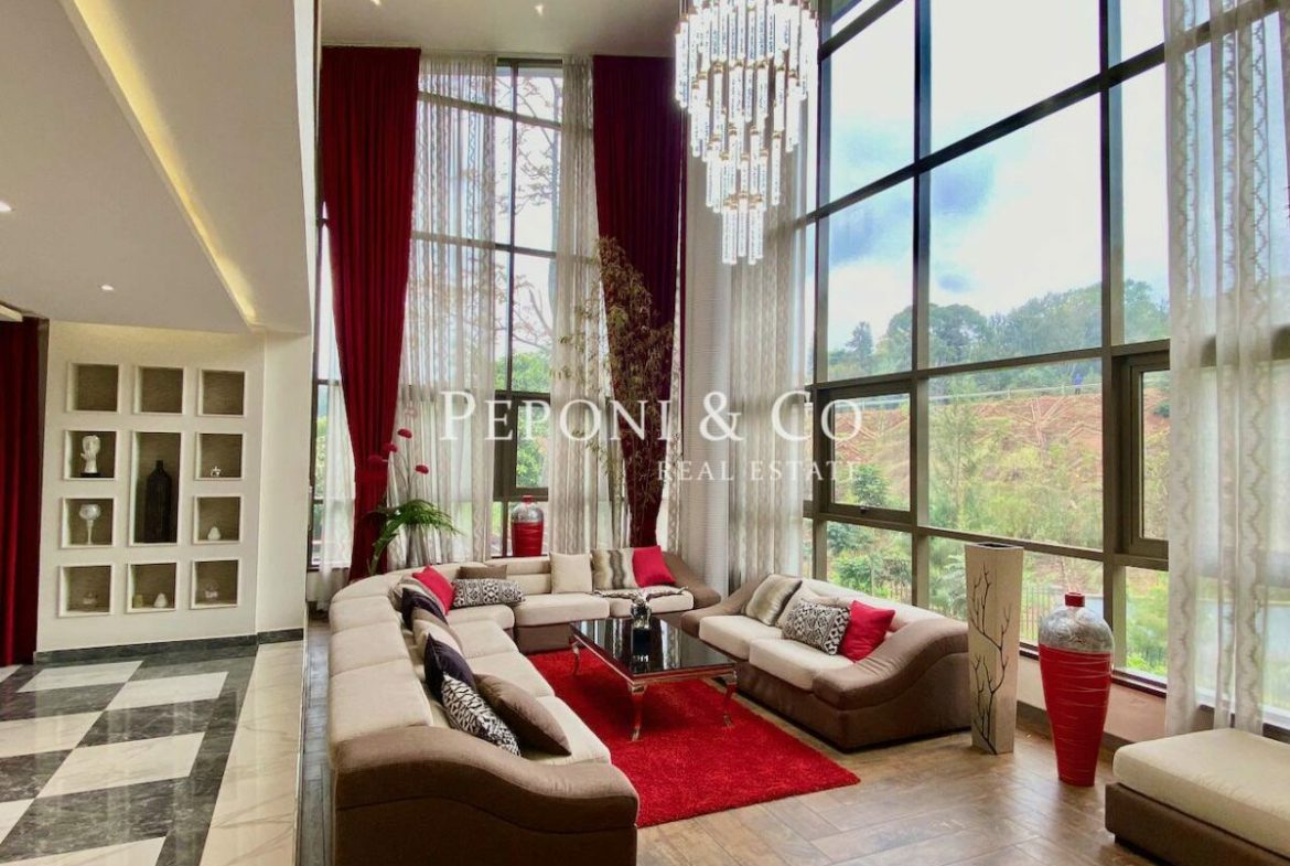 Exquisite contemporary style homes