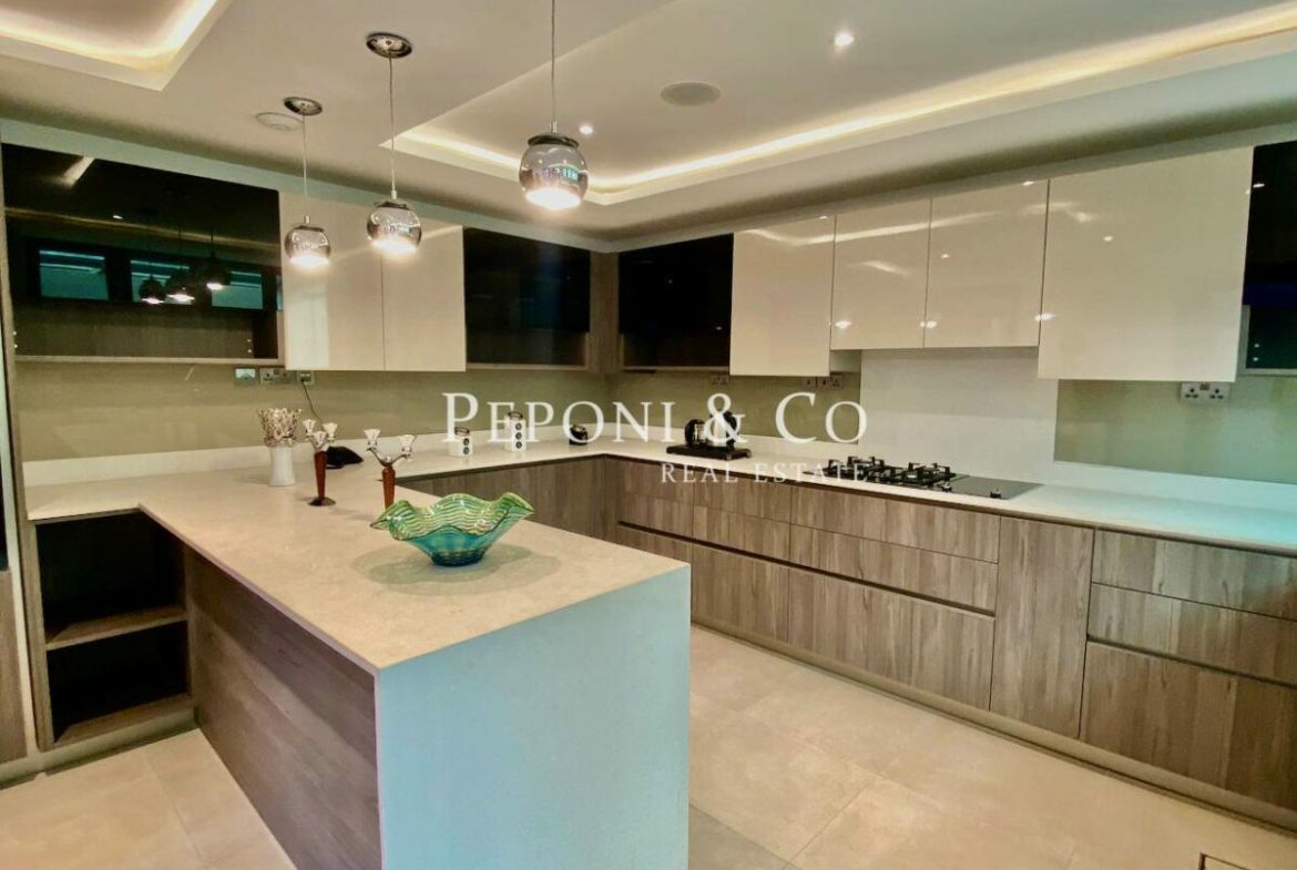 Exquisite contemporary style homes