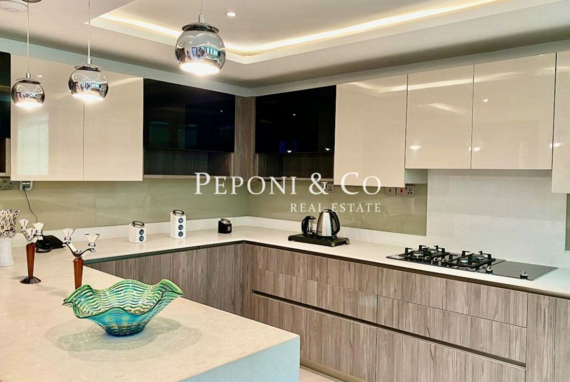 Exquisite contemporary style homes