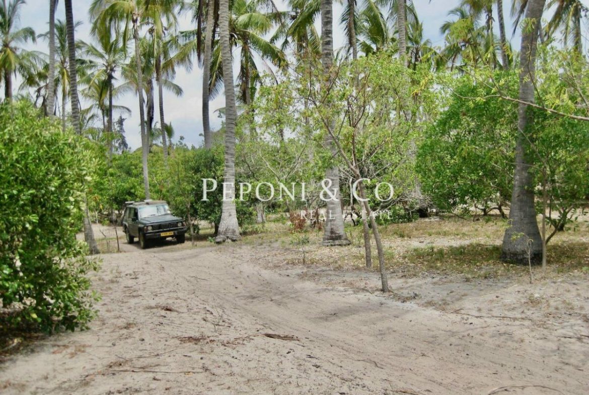 6 acres of Tanzanian beach front