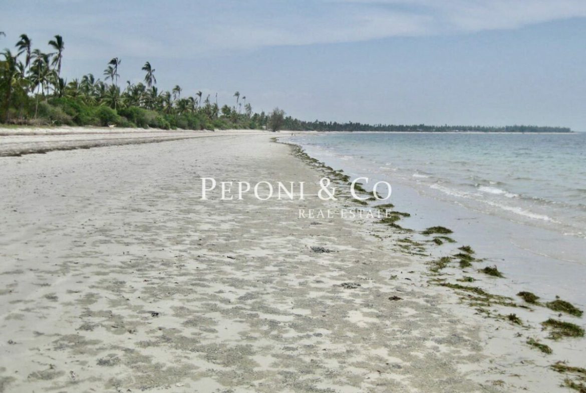 6 acres of Tanzanian beach front