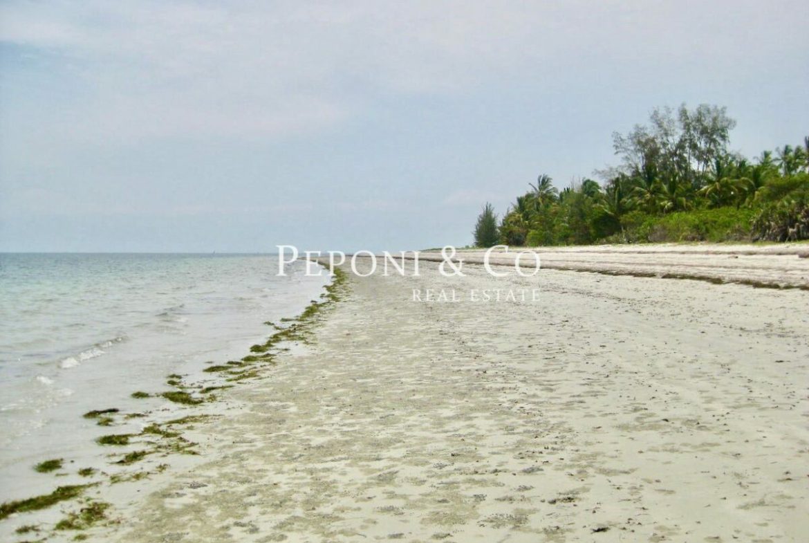 6 acres of Tanzanian beach front