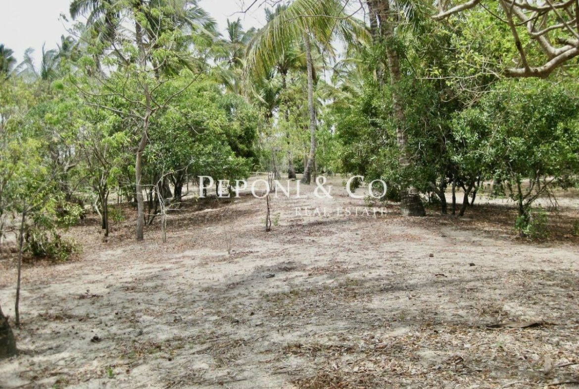 6 acres of Tanzanian beach front