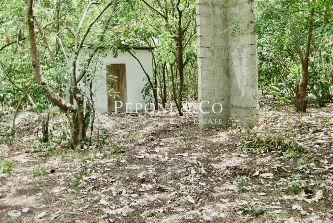 6 acres of Tanzanian beach front