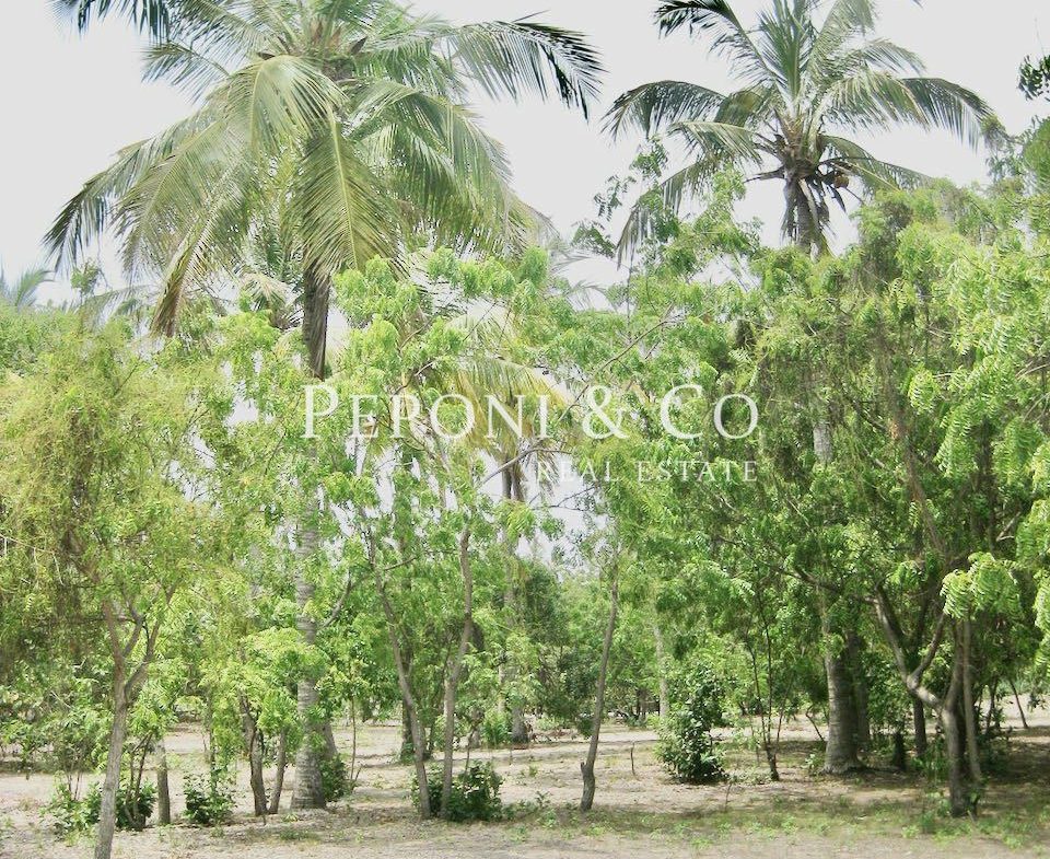 6 acres of Tanzanian beach front