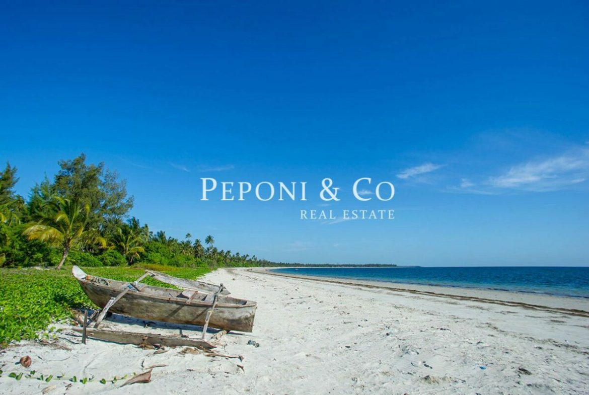 6 acres of Tanzanian beach front
