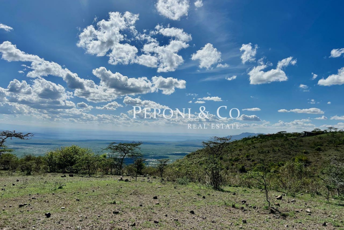 Champagne Ridge plots for sale