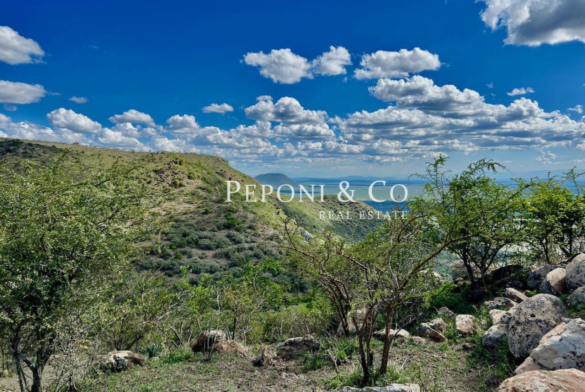 Champagne Ridge plots for sale