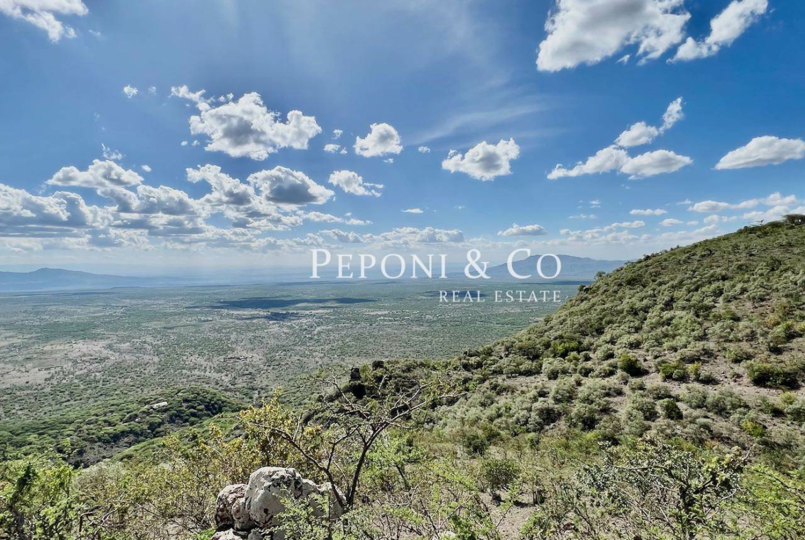 Champagne Ridge plots for sale