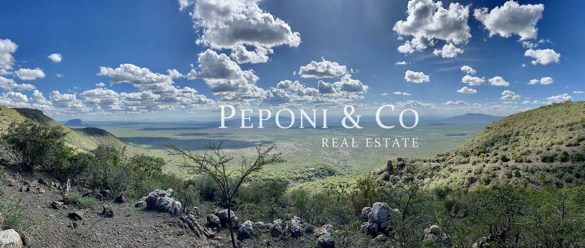 Champagne Ridge plots for sale