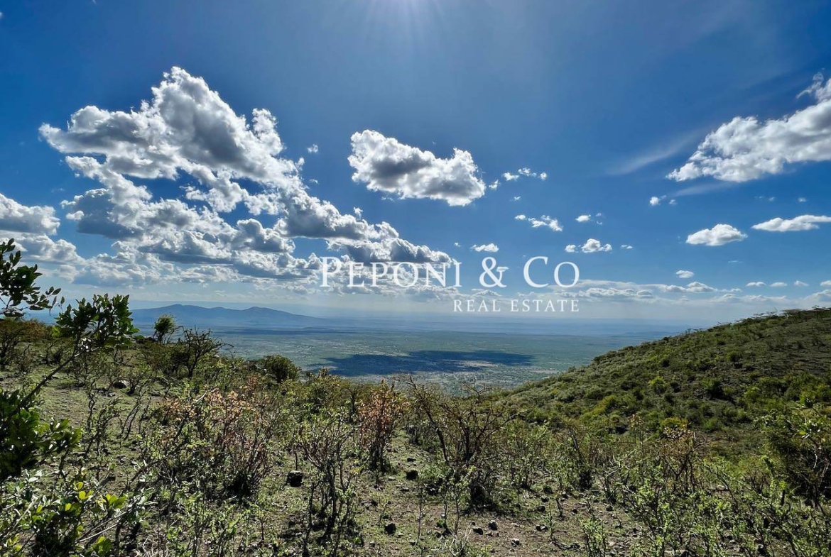 Champagne Ridge plots for sale