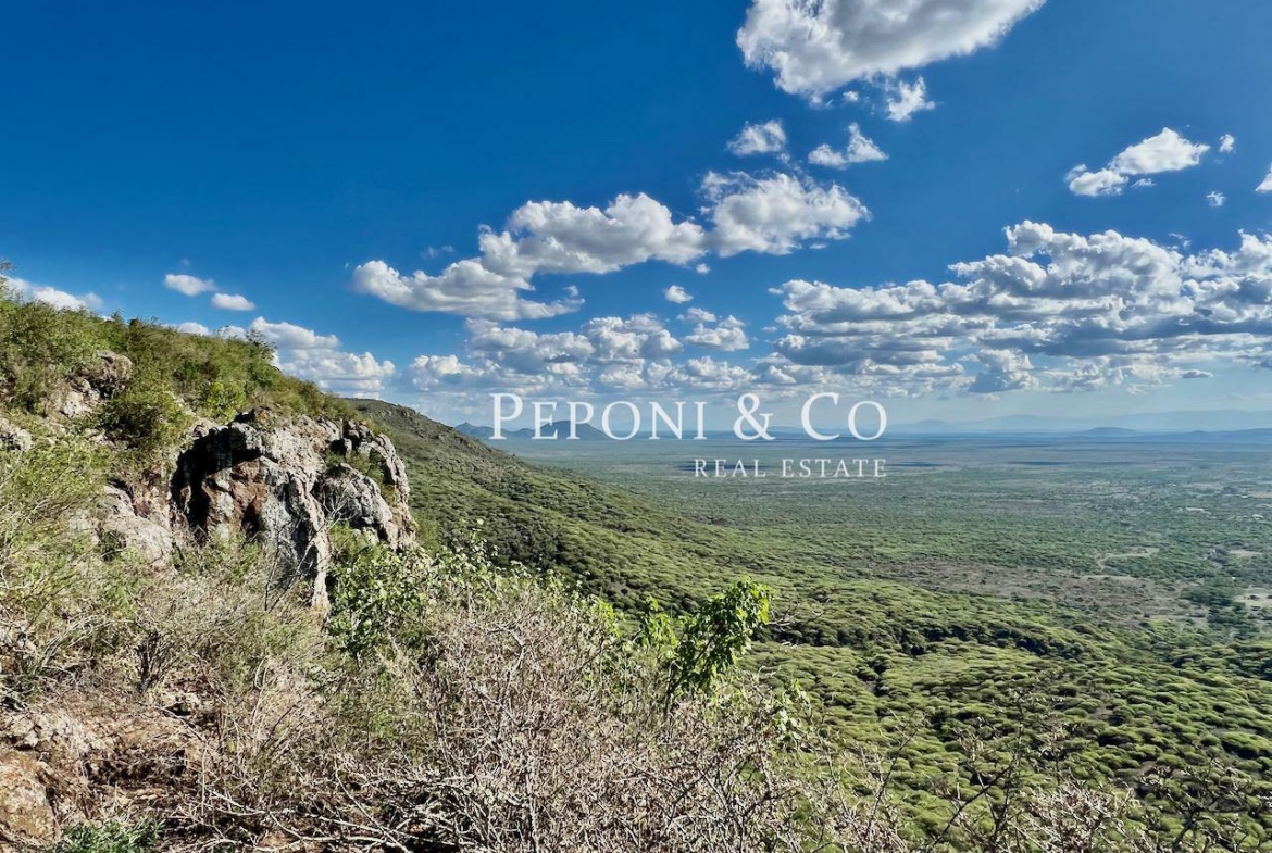 Champagne Ridge plots for sale