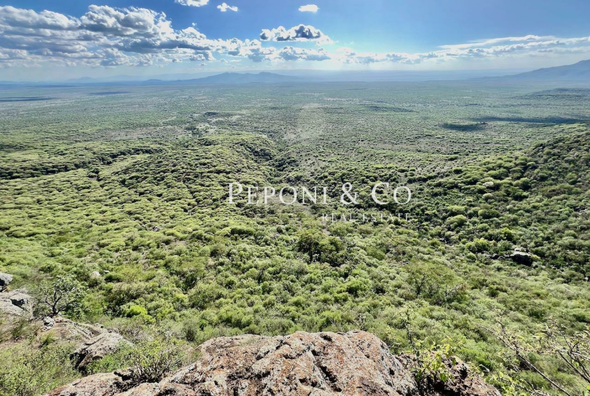 Champagne Ridge plots for sale