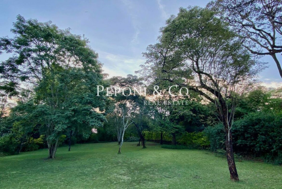 Beautiful Home for Sale