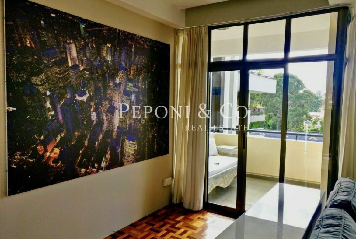 Stunning Duplex Apartment