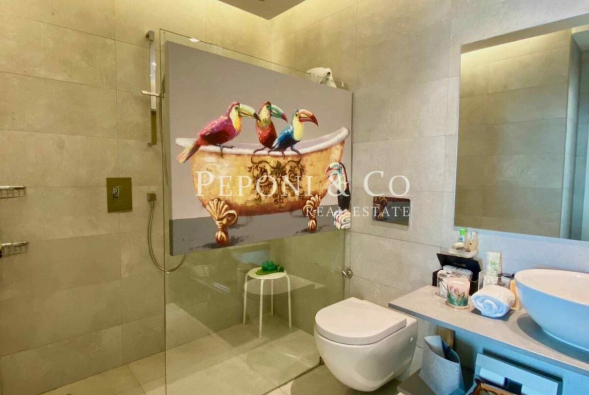 Unique Le Mac Apartment For Sale