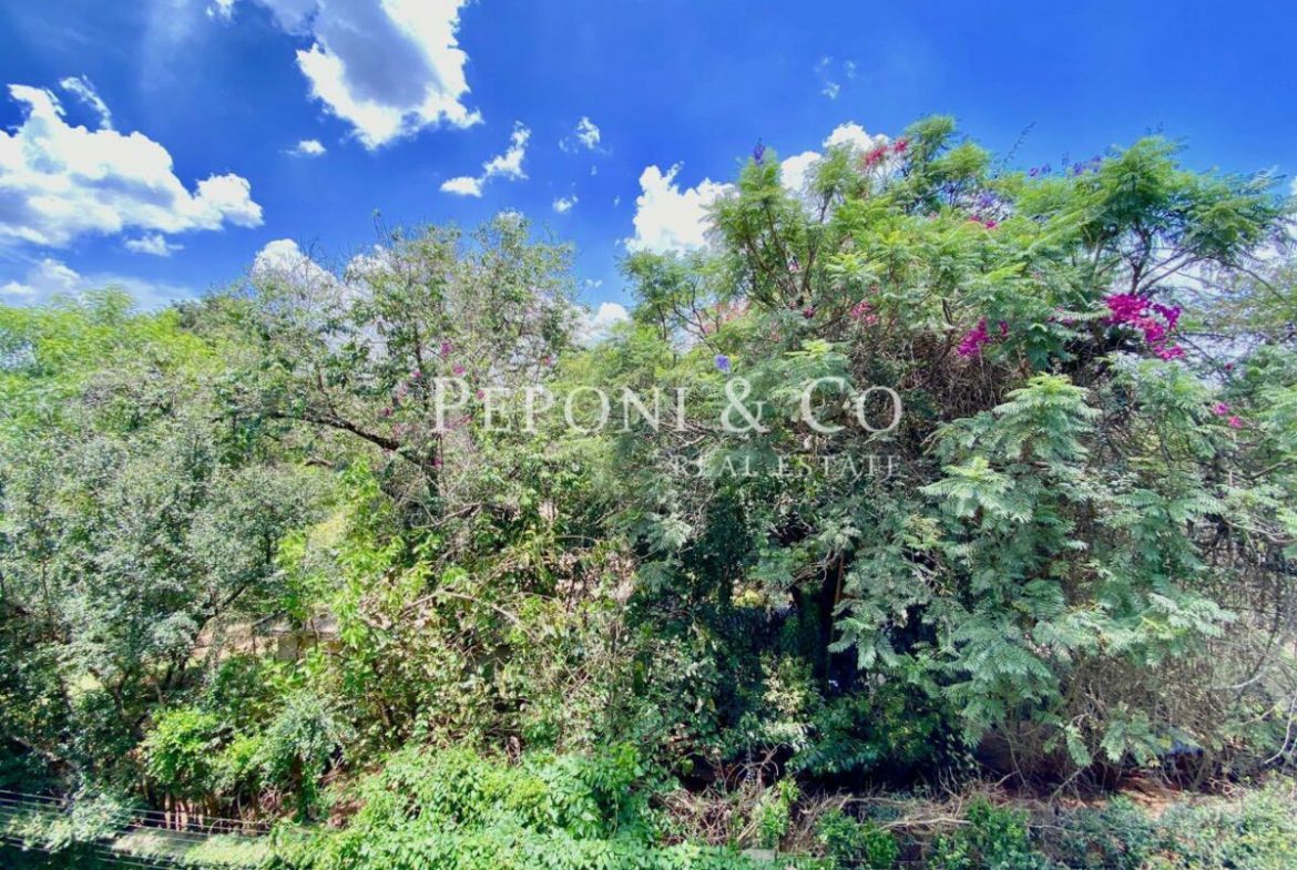 Marula Court For Sale