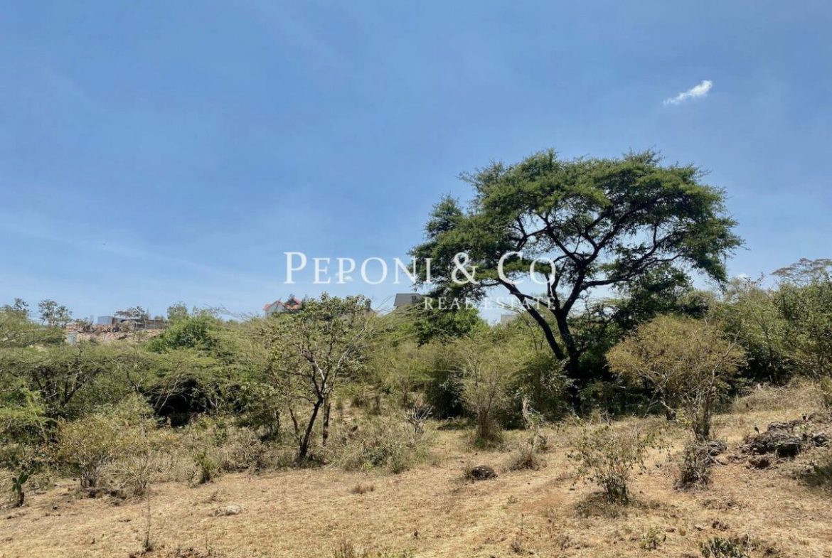 Land on Masai Lodge Road for sale