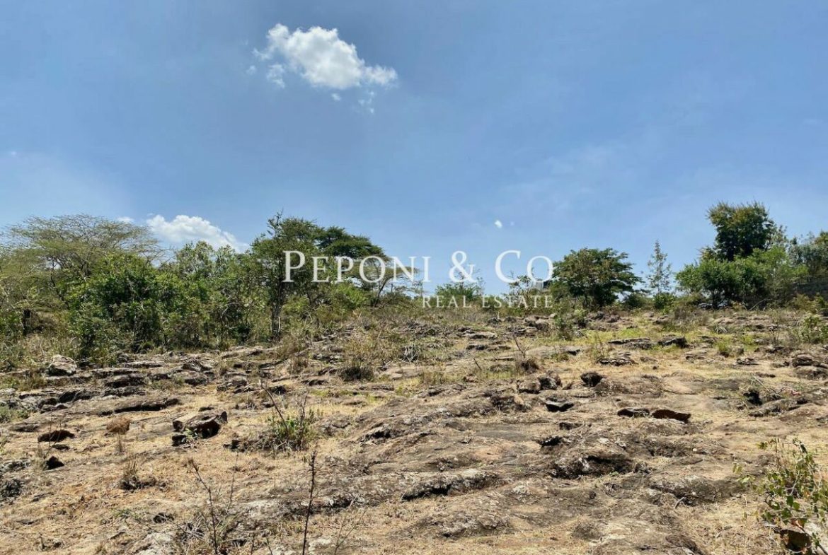 Land on Masai Lodge Road for sale