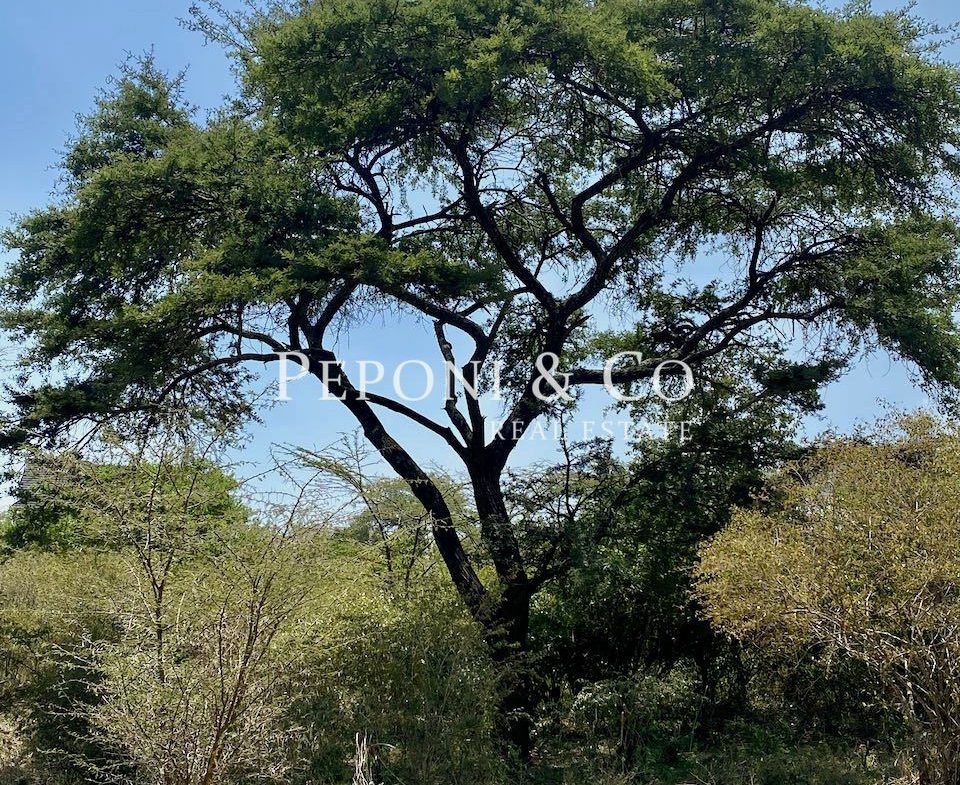 Land on Masai Lodge Road for sale