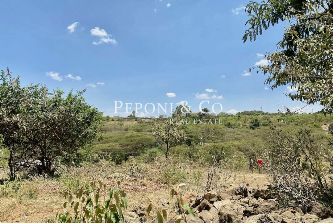 Land on Masai Lodge Road for sale