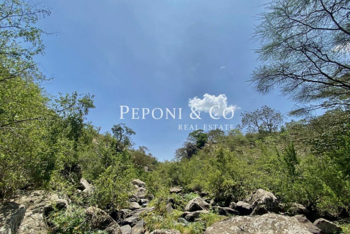 Land on Masai Lodge Road for sale