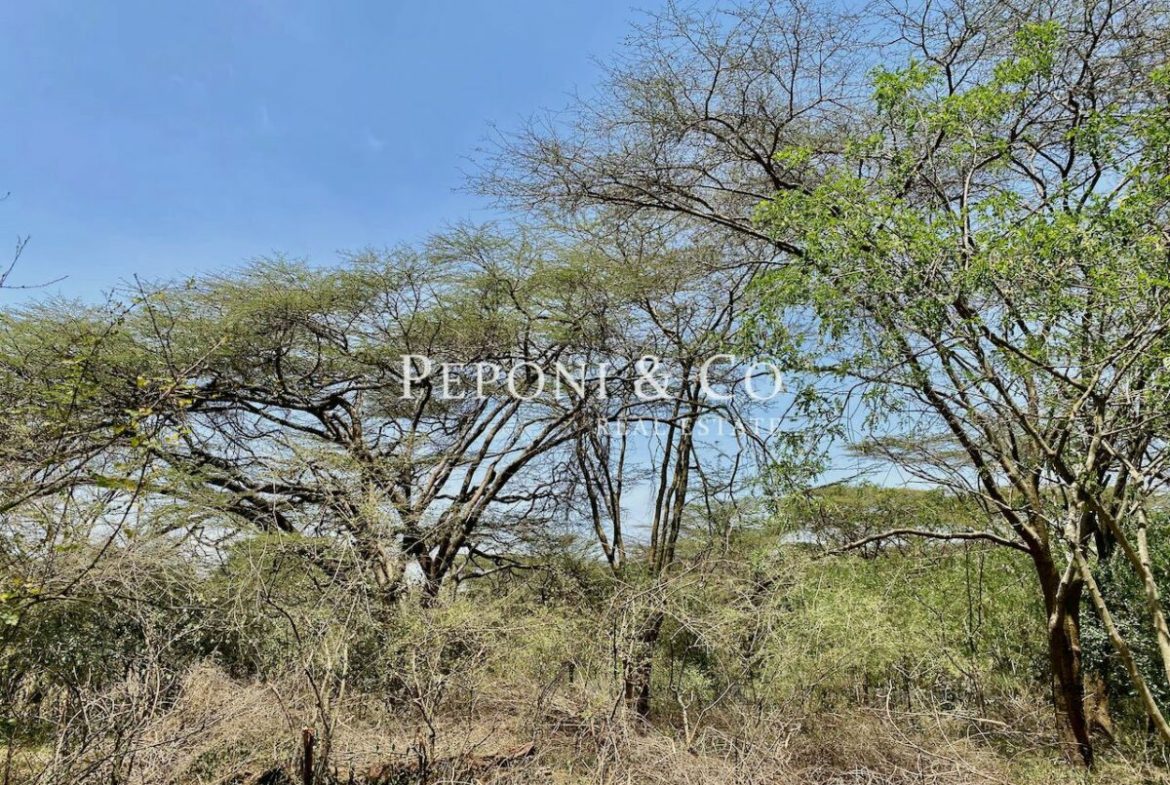 Land on Masai Lodge Road for sale
