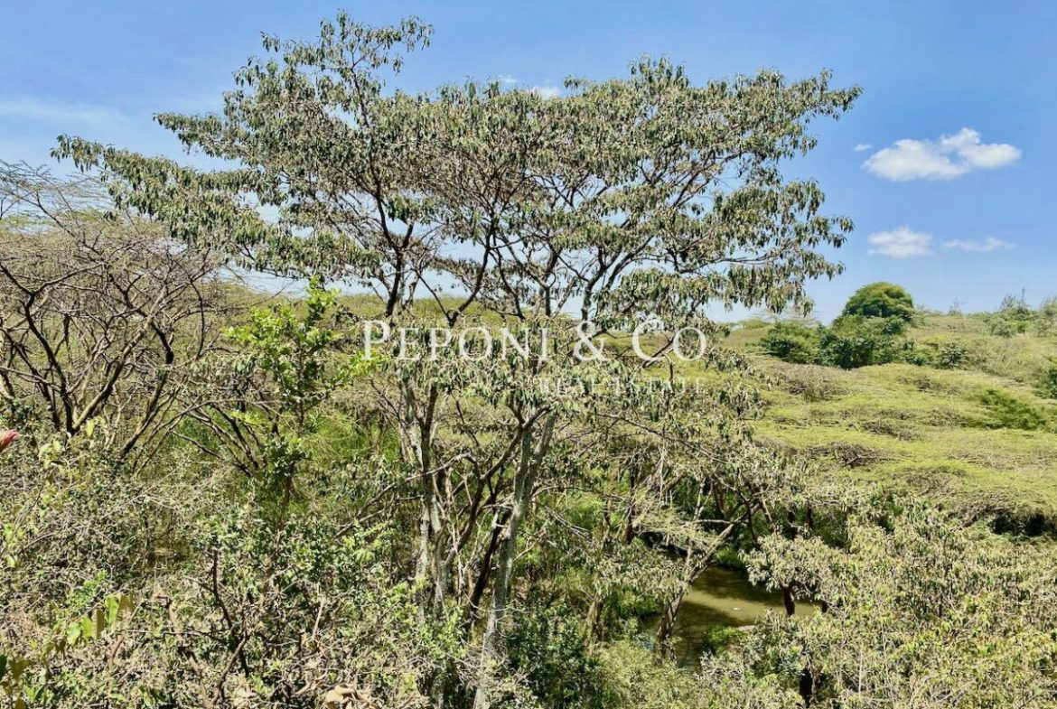 Land on Masai Lodge Road for sale