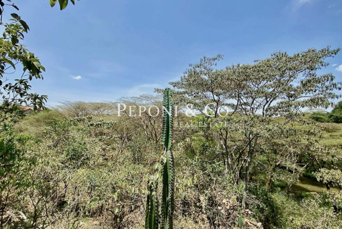Land on Masai Lodge Road for sale