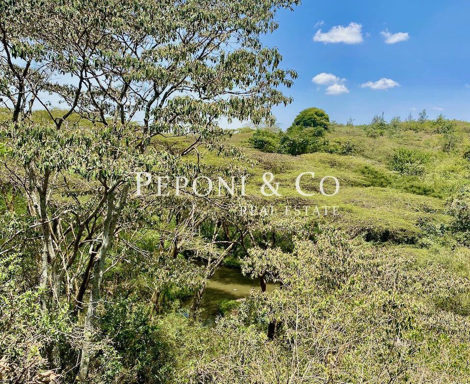 Land on Masai Lodge Road for sale