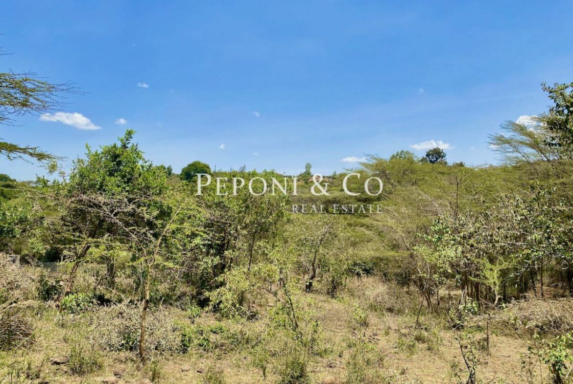 Land on Masai Lodge Road for sale