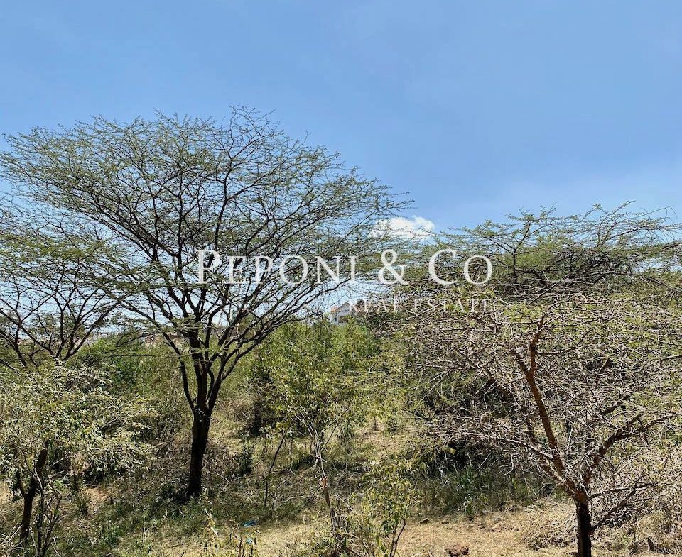 Land on Masai Lodge Road for sale