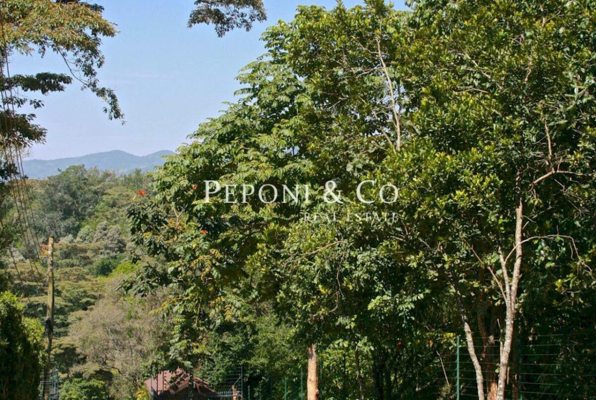 Spacious Homes in Tranquil Setting