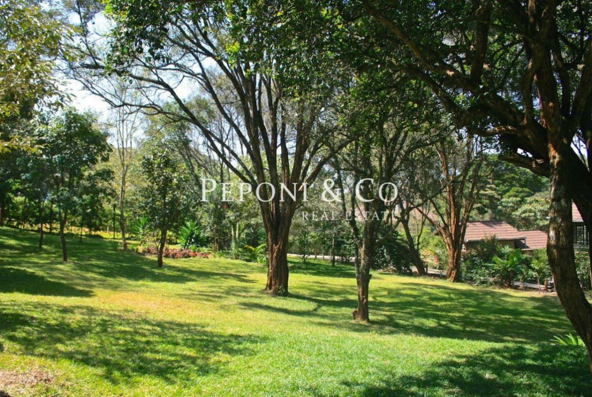 Spacious Homes in Tranquil Setting