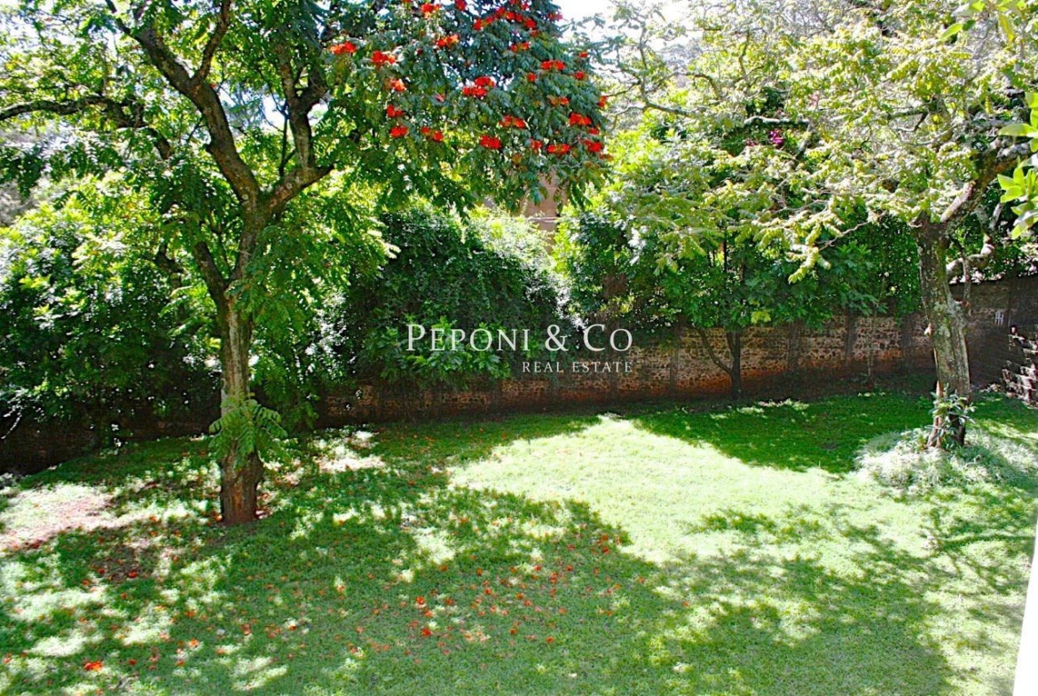 Elegant Villa for Rent