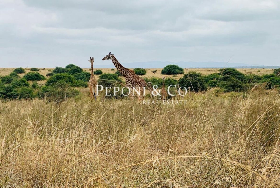 10 acres overlooking Nairobi National Park