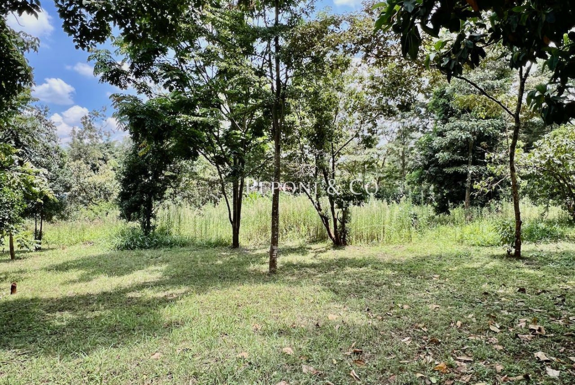 Great Value Development Plot