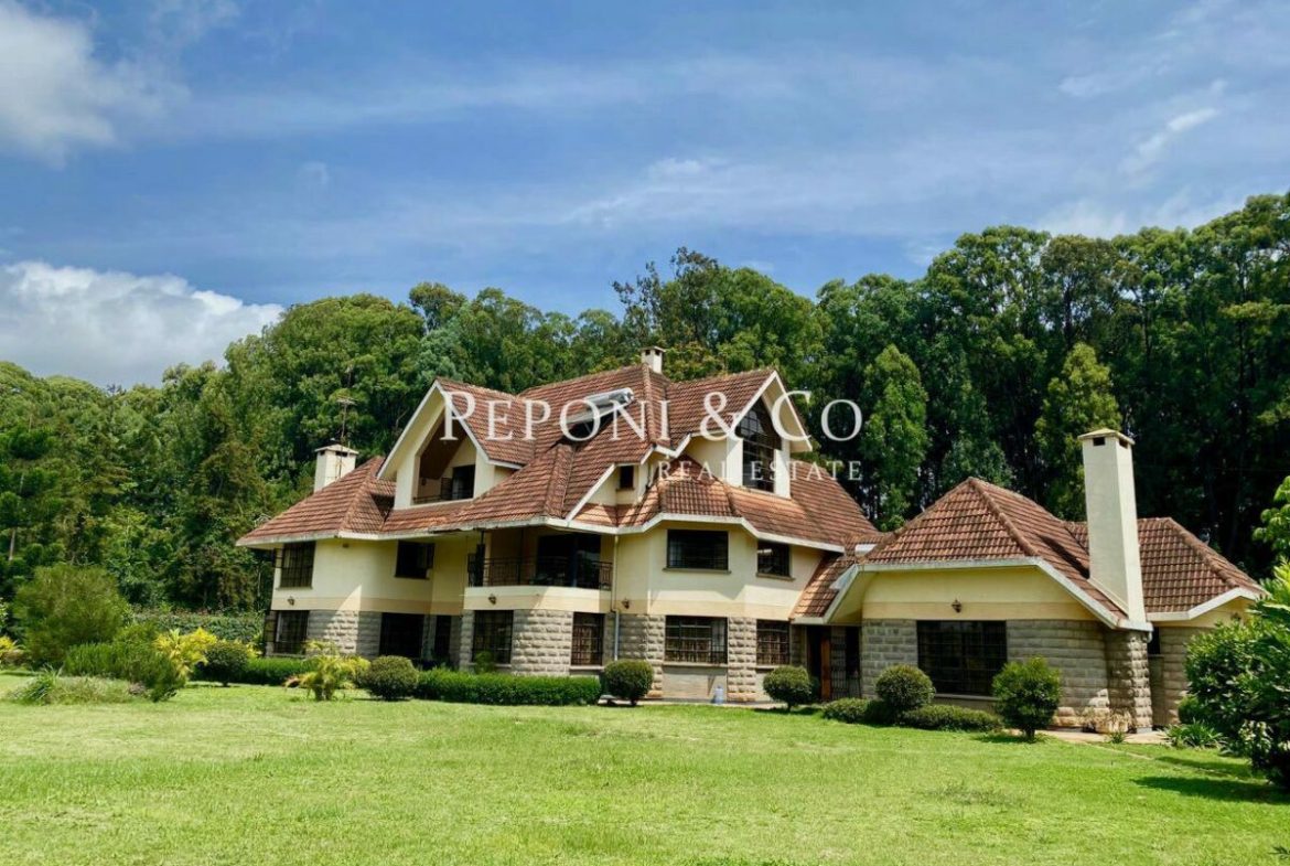 Spacious Family Home