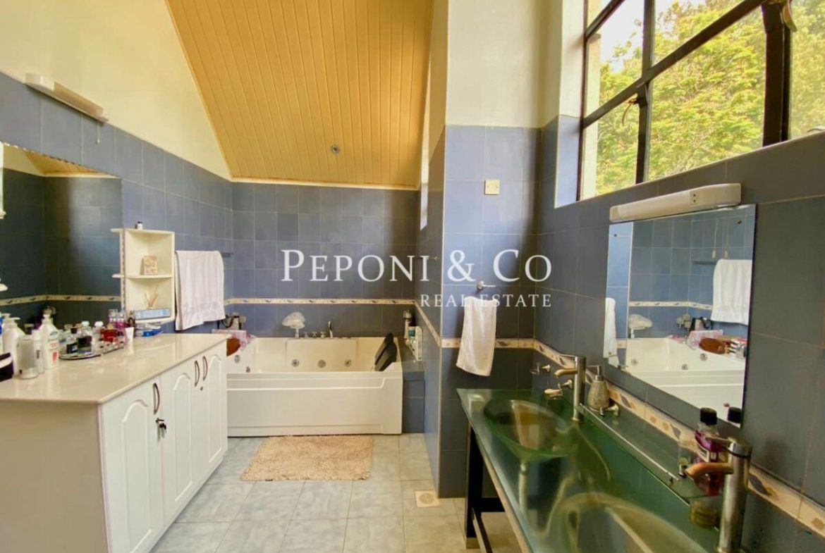 Spacious Family Home