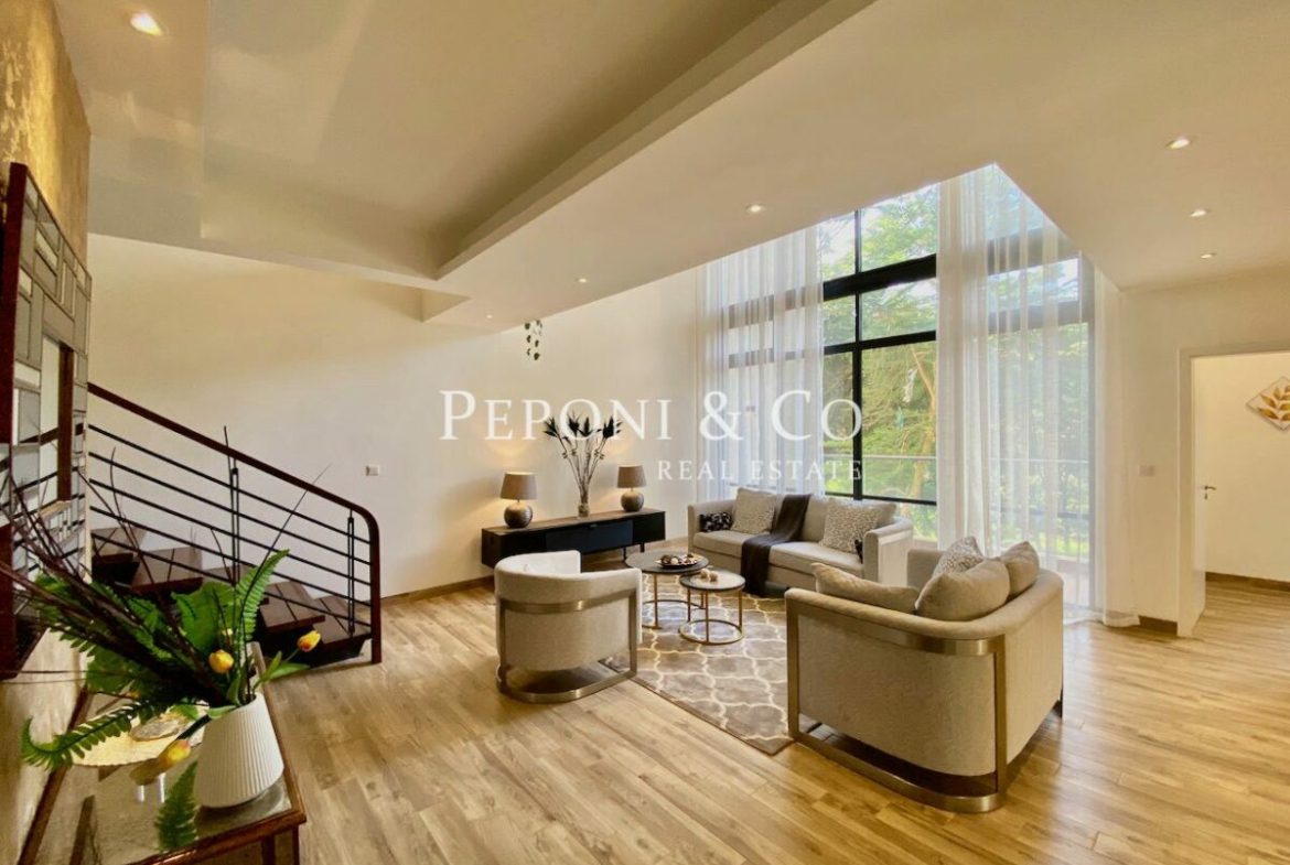 Amazing duplex apartments