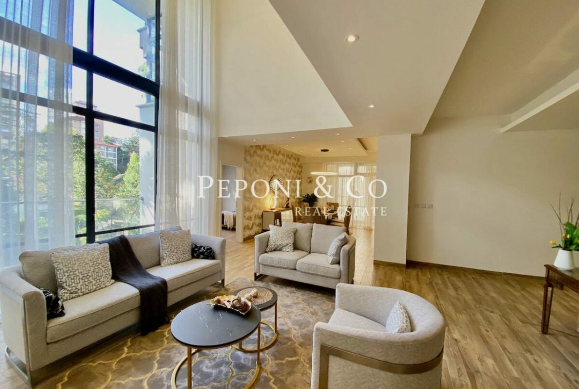 Amazing duplex apartments