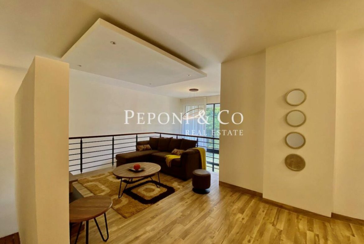 Amazing duplex apartments