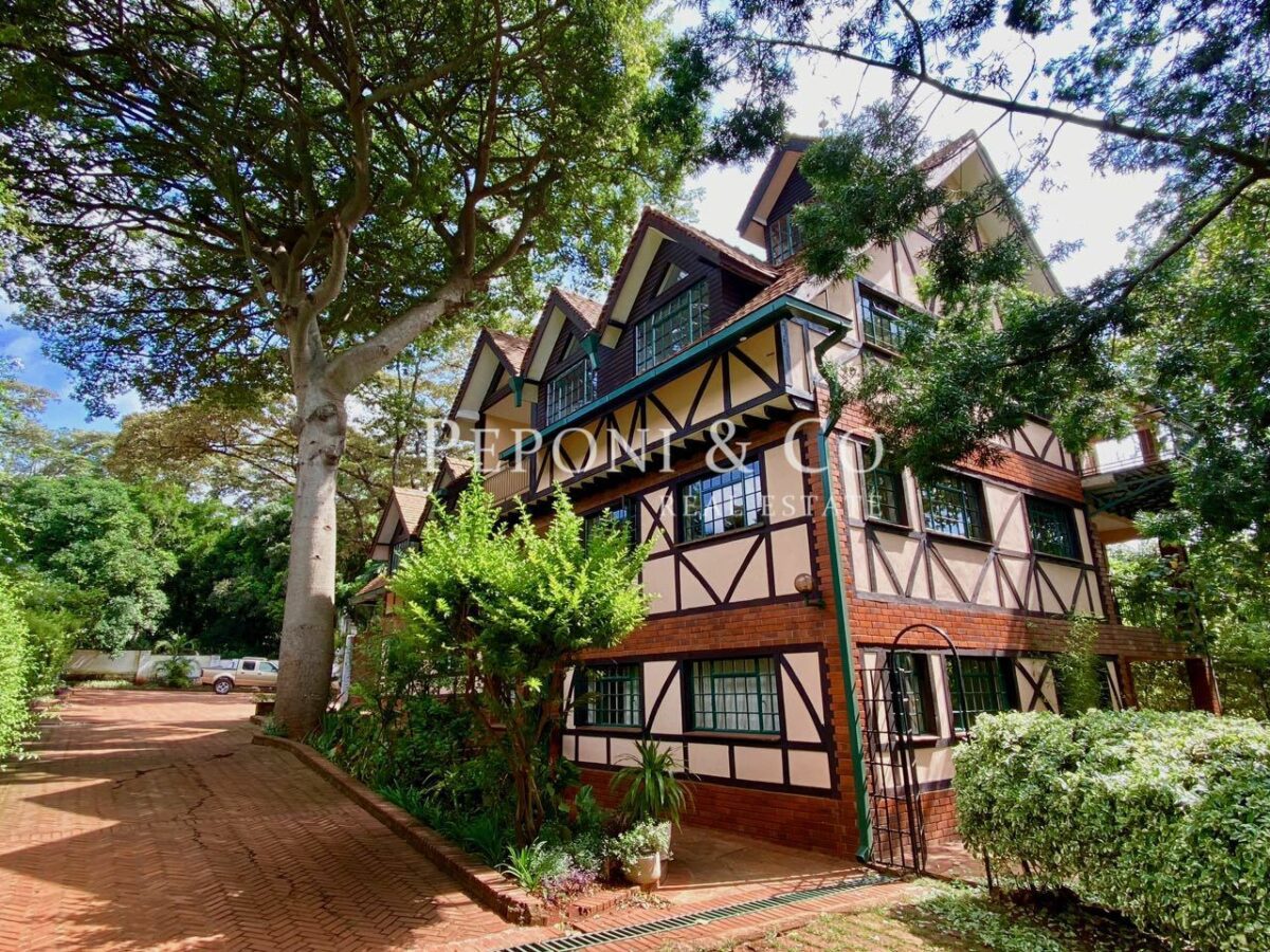 Peponi-Co-Twiha-Hill-90k-1-1200×900 Furnished duplex apartment in Hardy