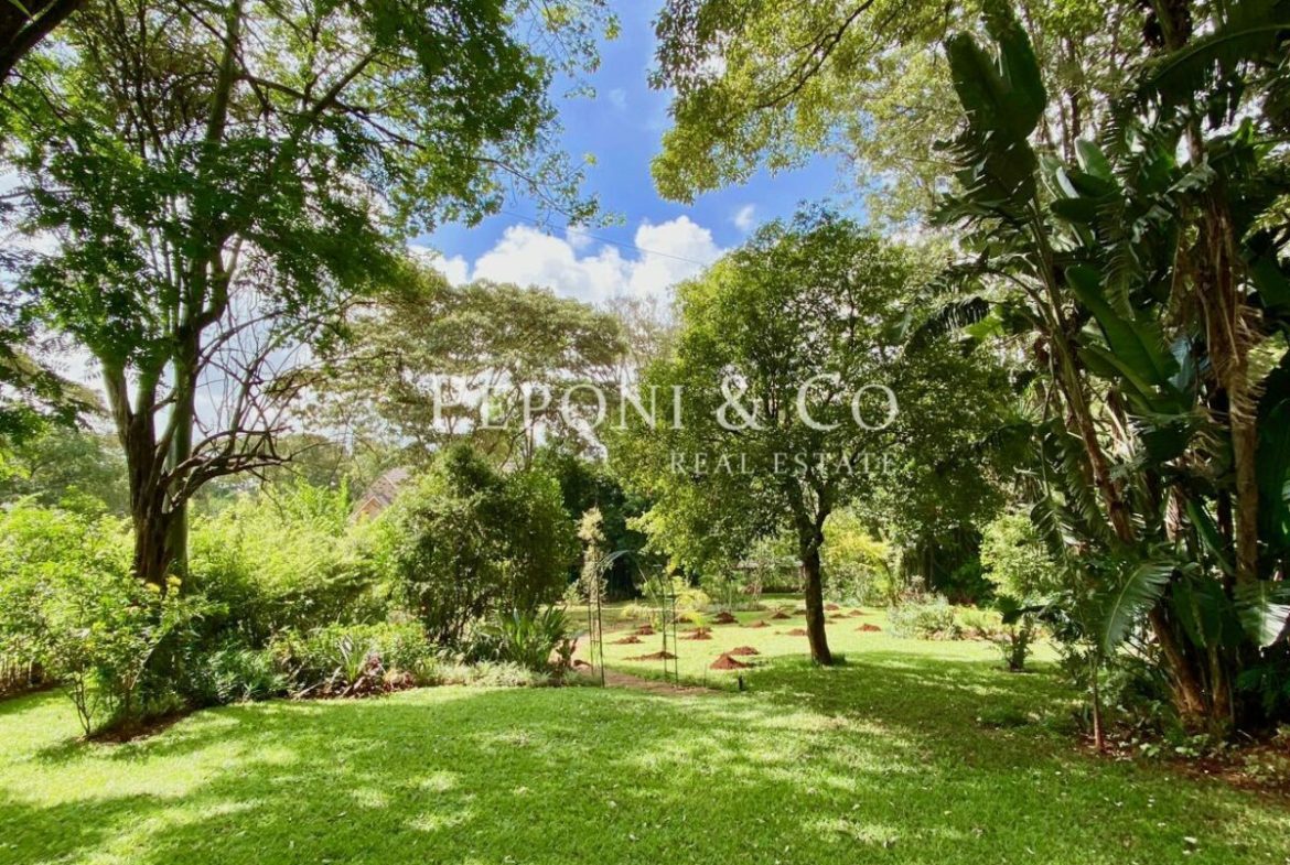 Furnished duplex apartment in Hardy