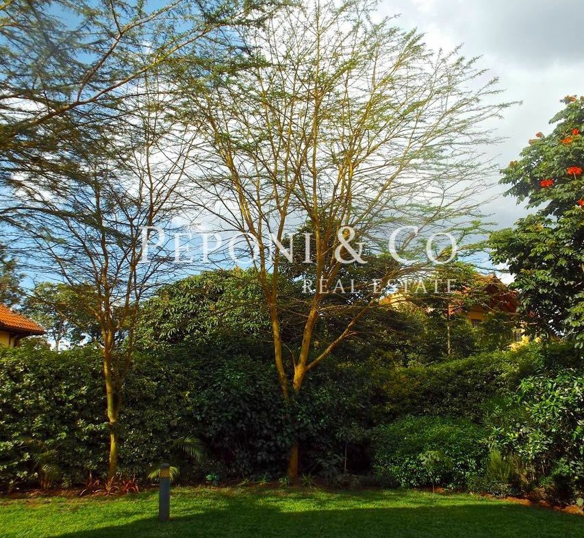 Elegant Home For Sale