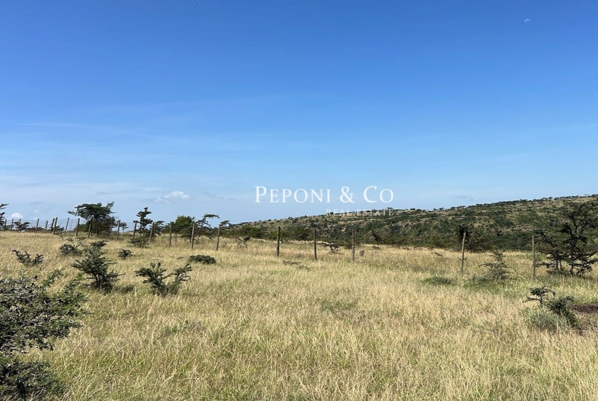 Champagne Ridge For Sale