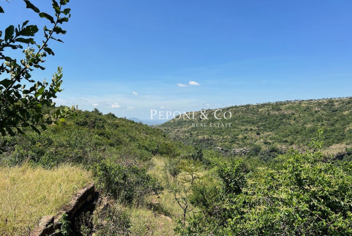 Champagne Ridge For Sale