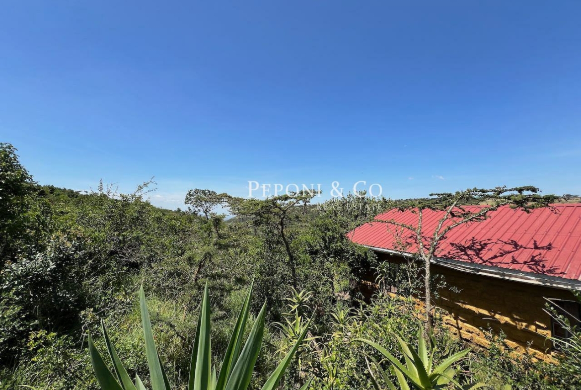 Champagne Ridge For Sale